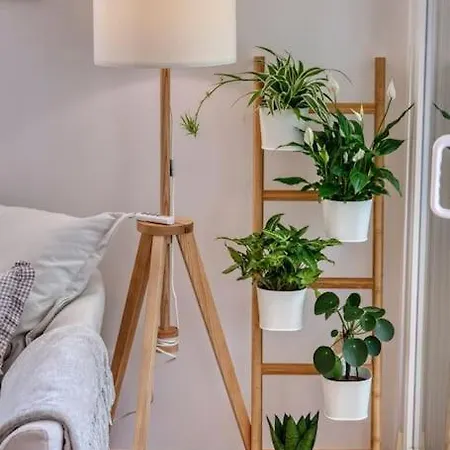 Mashadreamhome Appartement